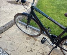 Raleigh Pioneer