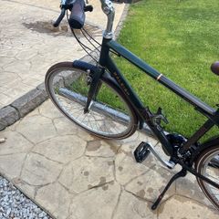 Raleigh Pioneer