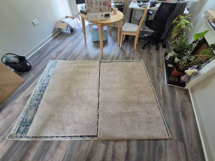 rug