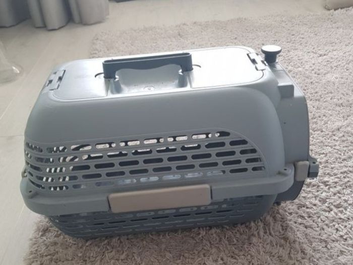 cat carrier