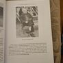 An Linn Bhui. Irish Ghaeltacht Na Ndeise. Uimhir 13. By Padraig O' Machain. Large Volume Paperback In Good Condition.  See Photos For Same. Image 7