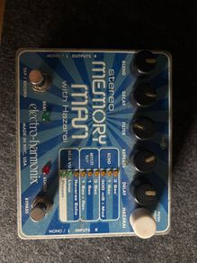 EHX Memory Man with Hazarai