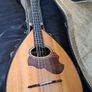 Mandocello and Hoyer Mandolin Image 2