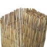Garden Reed Fence 125x1000 cm Image 5
