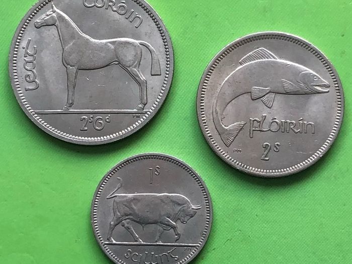 Irish Half Crown Florin Shilling