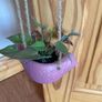 Decoration - hanging artificial plant for kitchen Image 4