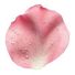 babypetals