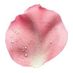 babypetals