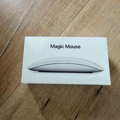 Apple Magic Mouse (USB-C)