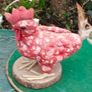 Little Red Rooster Image 8