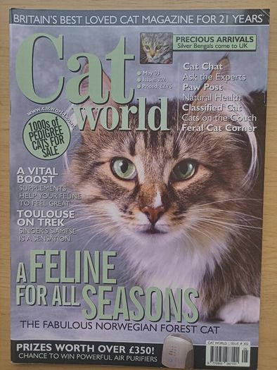 Cat World