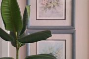 Pair 1990 Wim F Bijkerk Framed Bird Prints Signed Roy Edwards Fine Art IP43