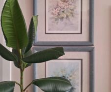 Pair 1990 Wim F Bijkerk Framed Bird Prints Signed Roy Edwards Fine Art IP43