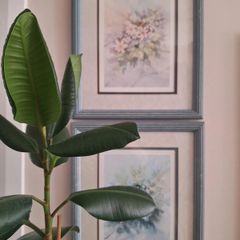 Pair 1990 Wim F Bijkerk Framed Bird Prints Signed Roy Edwards Fine Art IP43