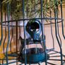 Bird feeder Image 7