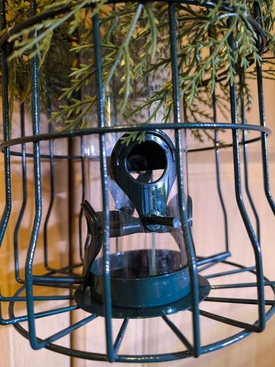Bird feeder