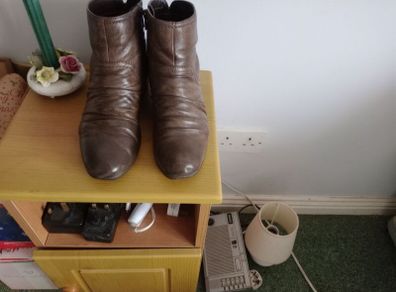 Ankle Boots/brown