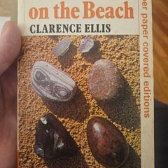 The Pebel On The Beach. Clarence Ellis. 1974 Paperback In Good Condition. See Photos For Same