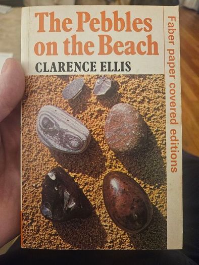 The Pebel On The Beach. Clarence Ellis. 1974 Paperback In Good Condition. See Photos For Same