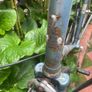 Vintage Raleigh road bike Image 3