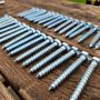 Coach screws