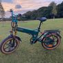 Brand New Fiido M1 Pro electric foldable bike Image 5
