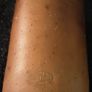 possibly earthenware ink bottle Image 4