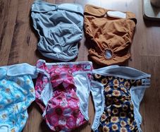 XL female dog nappies