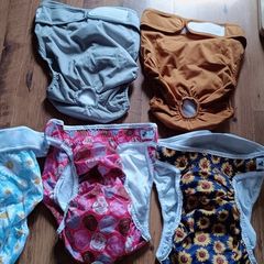 XL female dog nappies