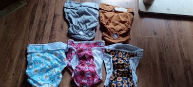 XL female dog nappies