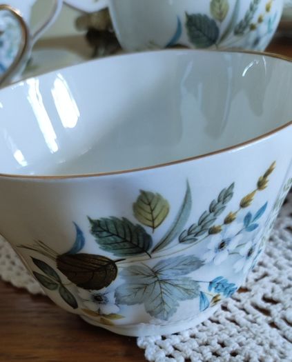 21 pcsVintage Royal Tara Bone China Tea Set
