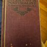 My Life As A Naturalistic. By W. Percival Westell. First Edition 1918 Hardback In Fair Condition.  See Photos For Same. Image 6