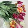 The Irish Country Home faux tulips Image 2