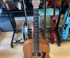 Taylor 310