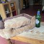 Cat Bed Image 2