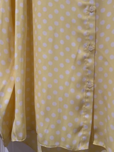 Polka Dot Blouse BNWT