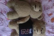 Ted 1 and 2