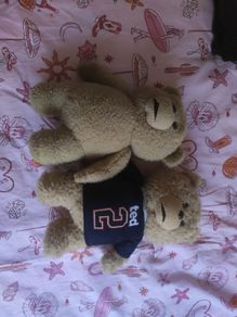 Ted 1 and 2