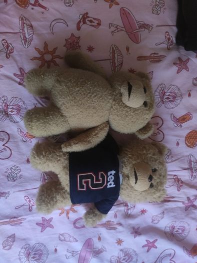 Ted 1 and 2