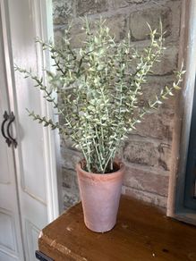 New 40cm high rustic faux privet style bush in terracotta pot with moss base