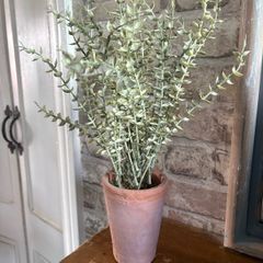 New 40cm high rustic faux privet style bush in terracotta pot with moss base
