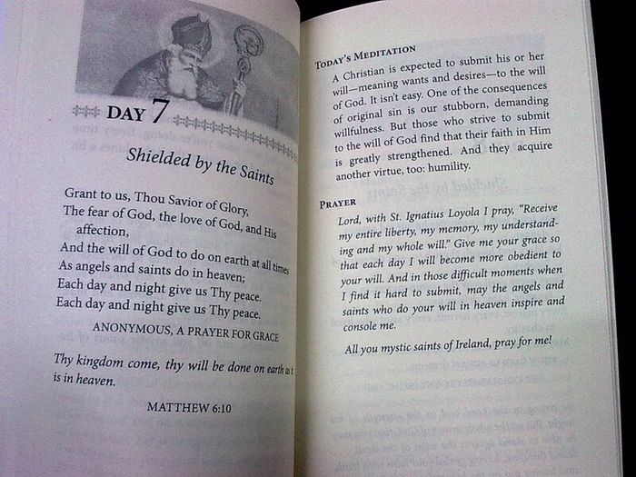 30 days with the Irish Mystics by Thomas J. Craughwell