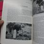 Ulster Folklife (Volume 33) 1987 Image 4