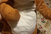teddy