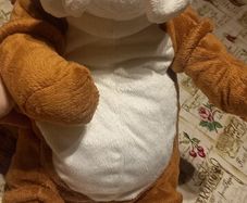 teddy