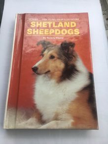 Shetland sheepdogs by Beverly Pisano