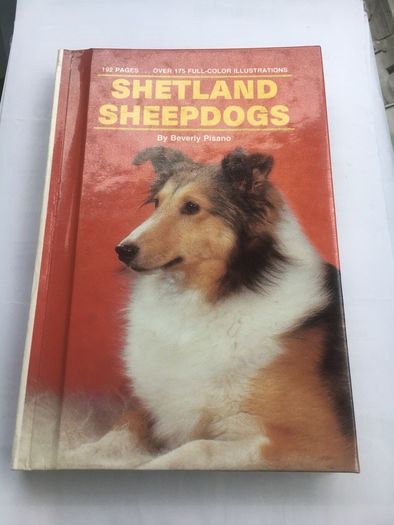 Shetland sheepdogs by Beverly Pisano