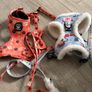 dog items various Image 4
