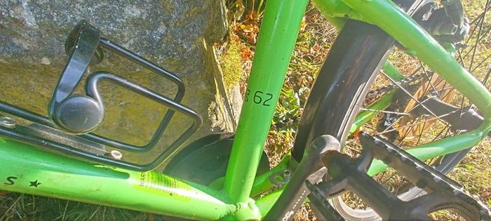 frog bike