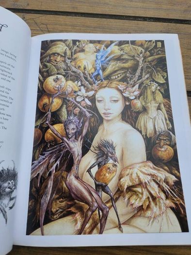 Good Faeries Bad Faeries. By Brian Froud. Edited By  Terri Windling. First Edition Large Volume Paperback In Very Good Condition.